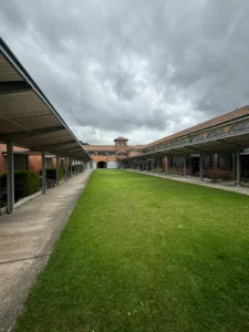 Espacios en arriendo 12 6